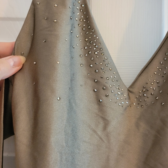 NWT Bellissima Swimsuit Size Small Platinum Khaki With Swarovski Elements - Picture 6 of 12